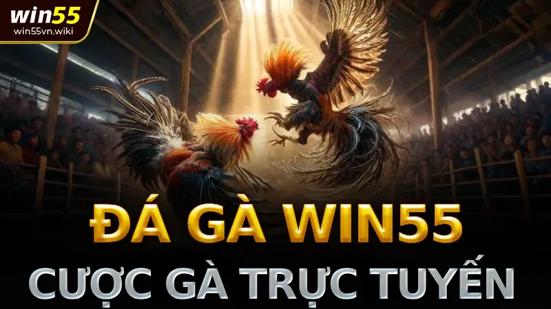 Sảnh Đá Gà Win55: Trải Nghiệm Cá Cược Đỉnh Cao 2025 1 Giới thiệu đá gà Trực Tuyến Win55