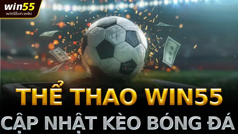 Thể thao win55: cập nhật kèo bóng đá & trực tiếp mới nhất 2025 1 Giới thiệu tổng quan về sảnh Thể thao Win55
